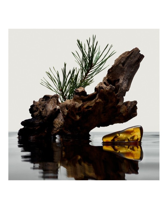 Eau de Parfum Hero 100 ml Burberry