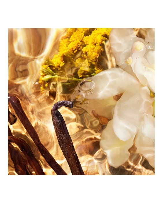 Eau de Parfum Aqua Allegoria Forte Bosca Vanilla 75 ml Guerlain