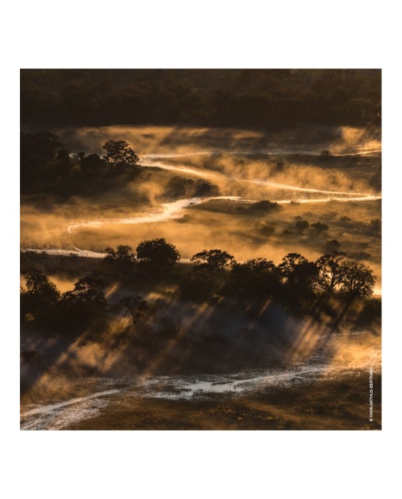 Eau de Parfum Aqua Allegoria Forte Bosca Vanilla 75 ml Guerlain