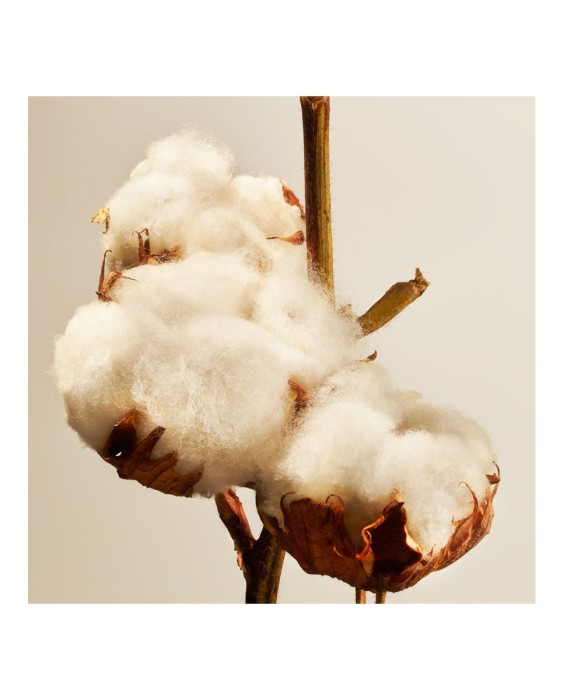 Cartucho para difusor Cotton Blossom Cartridge 30 ml Rituals