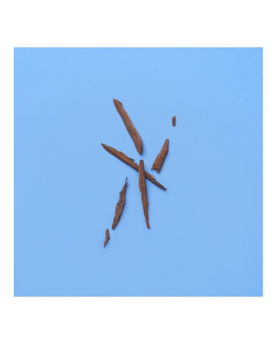 Eau de Parfum Gucci The Alchemist's Garden A Song for the Rose 100 ml  Gucci