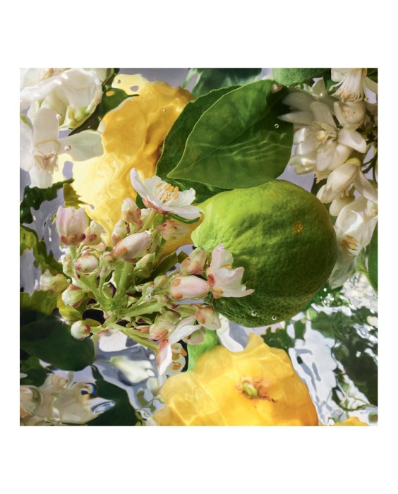 Eau de Toilette Aqua Allegoria Bergamota Calabria 75 ml Guerlain