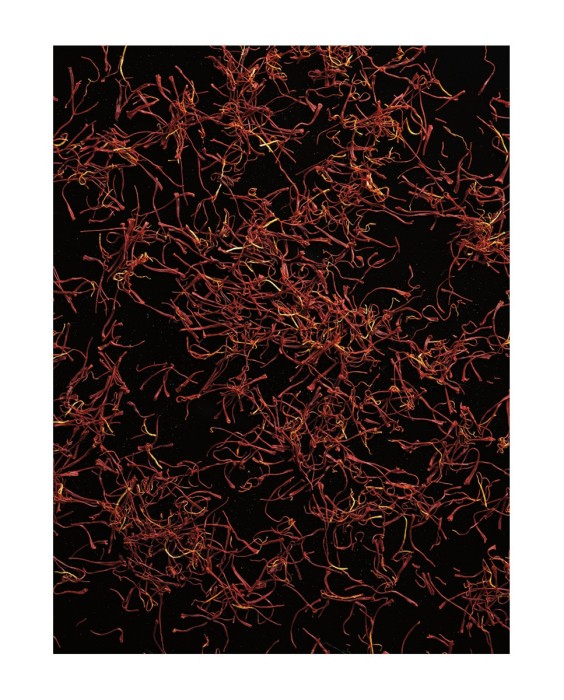 Eau de Toilette Polo Red 75 ml Ralph Lauren