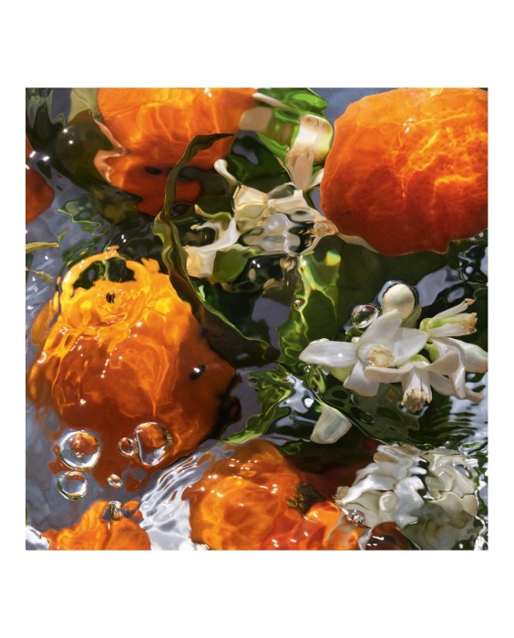 Eau de Toilette Aqua Allegoria Mandarine Basilic 75 ml Guerlain