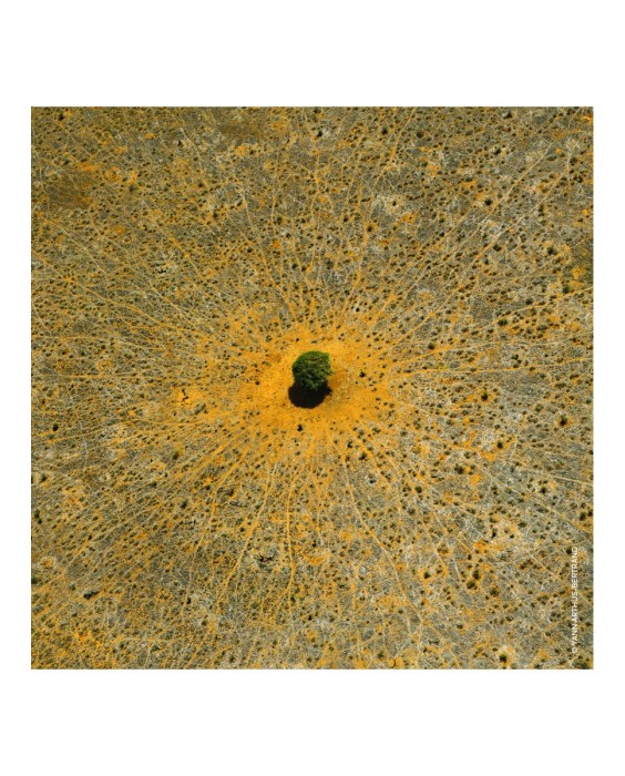 Eau de Toilette Aqua Allegoria Mandarine Basilic 75 ml Guerlain