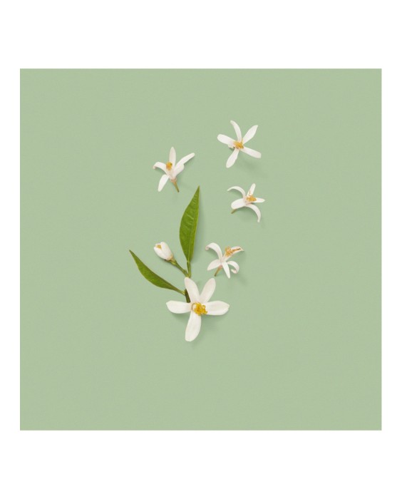 Eau de Parfum Gucci The Alchemist's Garden 1921, 100 ml  Gucci