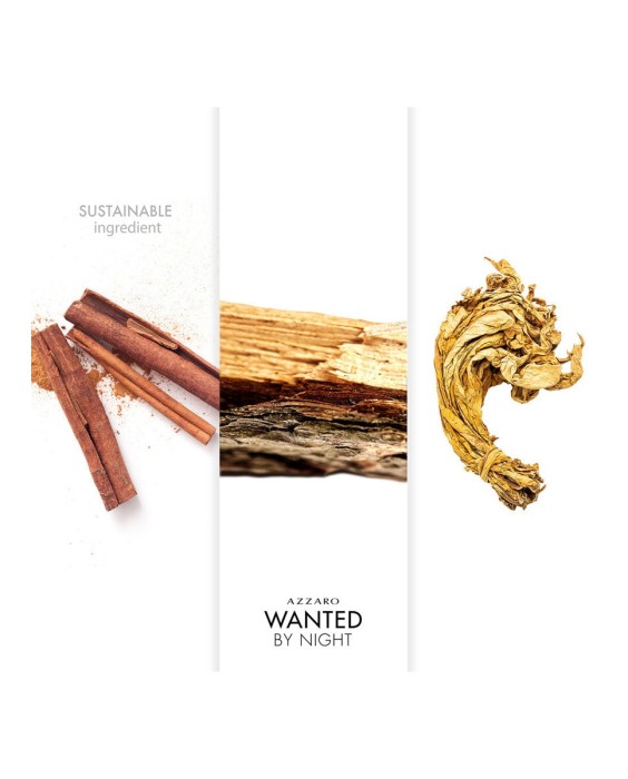 Eau de Parfum Azzaro Wanted by night 100 ml Azzaro