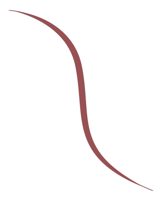 Eyeliner Infaillible Grip micro-fine liner L'Oréal Paris