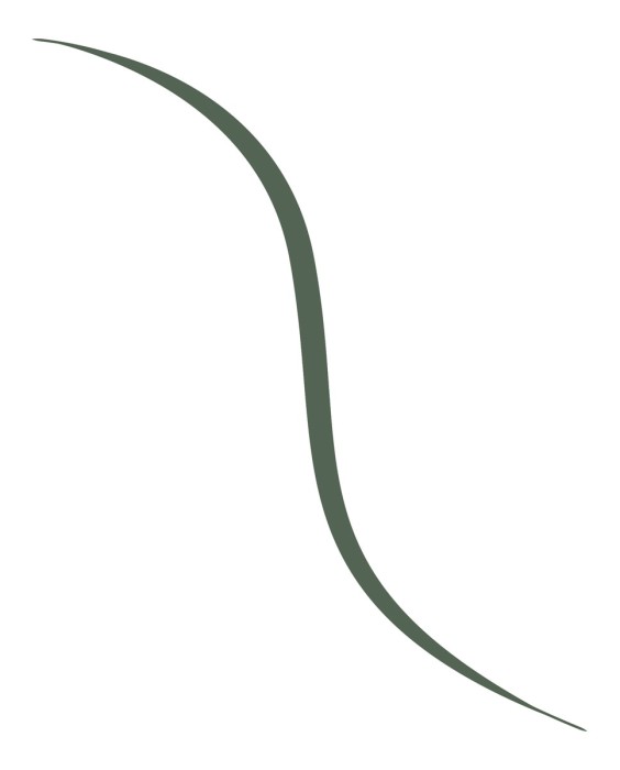 Eyeliner Infaillible Grip micro-fine liner L'Oréal Paris