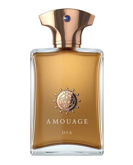 Eau de Parfum Dia Man 100 ml Classic Collection Amouage