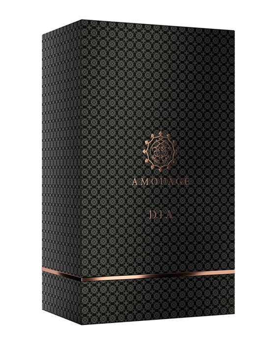Eau de Parfum Dia Man 100 ml Classic Collection Amouage