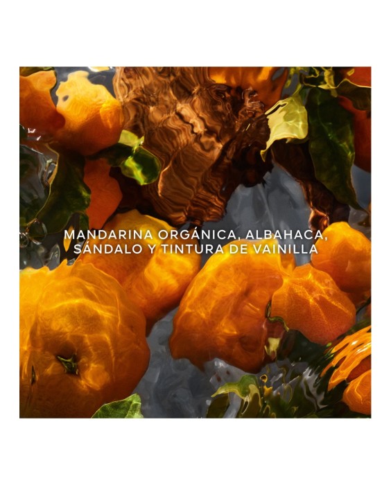 Eau de Parfum Aqua Allegoria Mandarine Basilic Forte Recargable 75 ml Guerlain