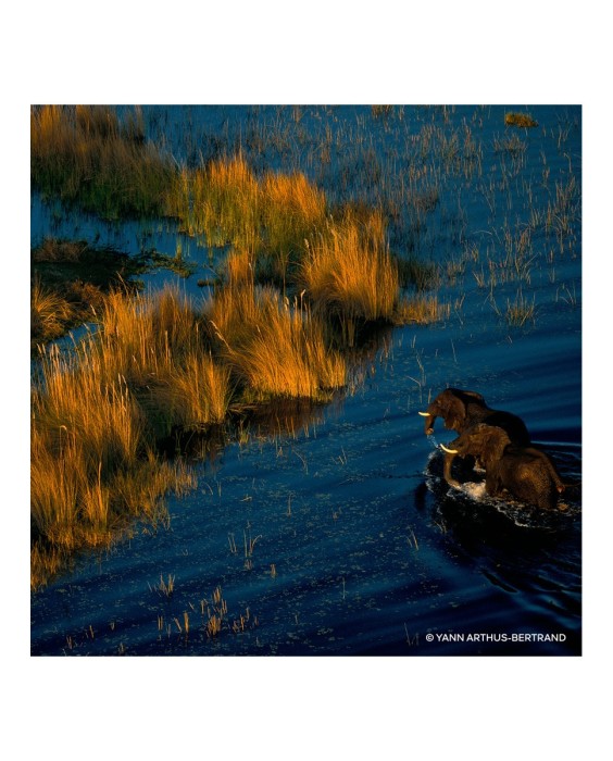 Eau de Parfum Aqua Allegoria Mandarine Basilic Forte Recargable 75 ml Guerlain