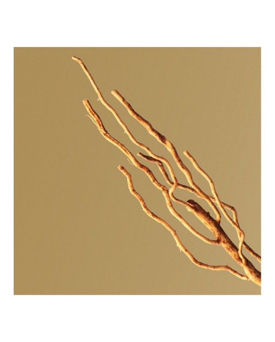 Eau de Parfum Boss Bottled 100 ml Boss