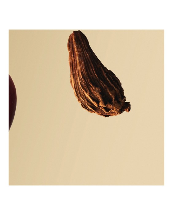 Eau de Parfum Boss Bottled 100 ml Boss