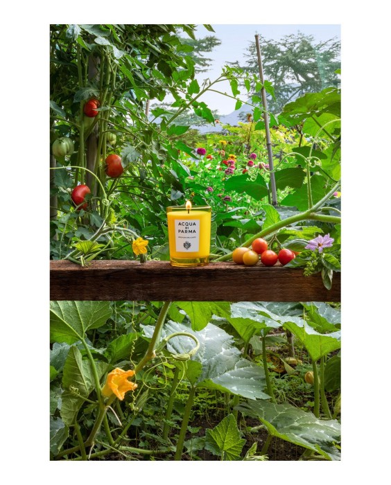 Vela Profumi Dell´orto  Home Collection 200 g Acqua di Parma