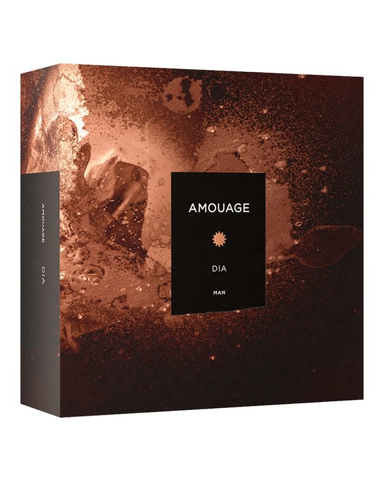 Eau de Parfum Dia Man 100 ml Amouage