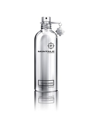 Eau de parfum Fougères marine 100ml Montale parfums [5th Essence]
