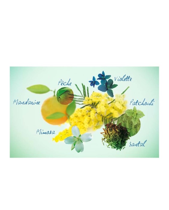 Eau de Parfum Eden 50 ml Cacharel