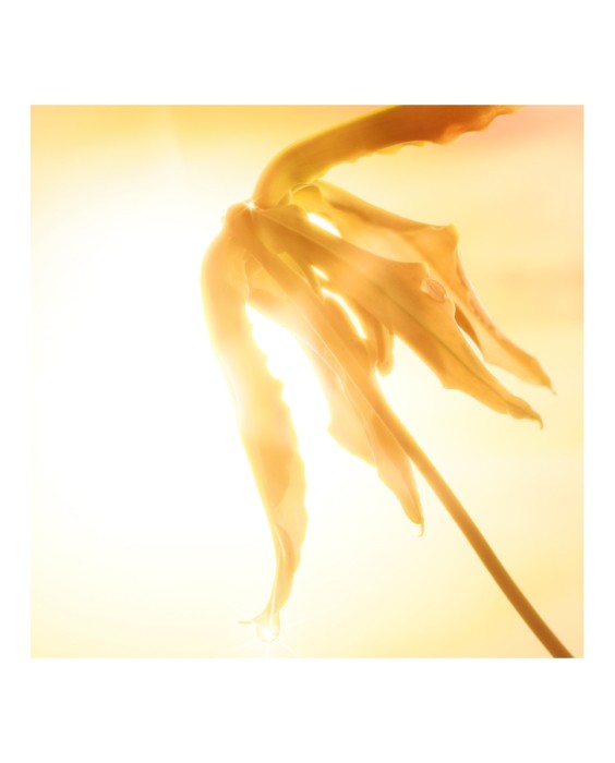 Charlotte Tilbury Joyphoria 10мл Парфюмерная вода