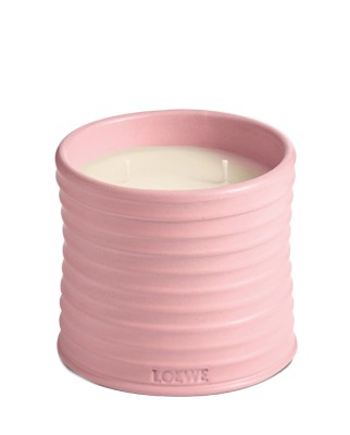 Vela aromática Home Scents Ivy M Loewe