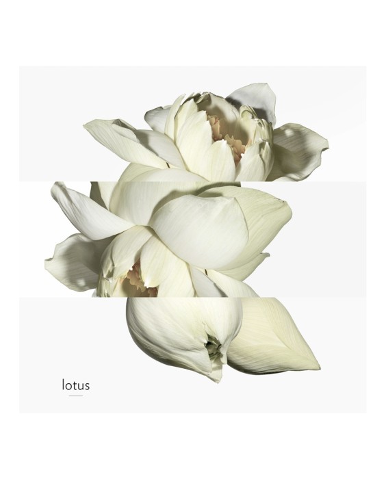 Hermès Un Jardin Sur le Nil туалетная вода