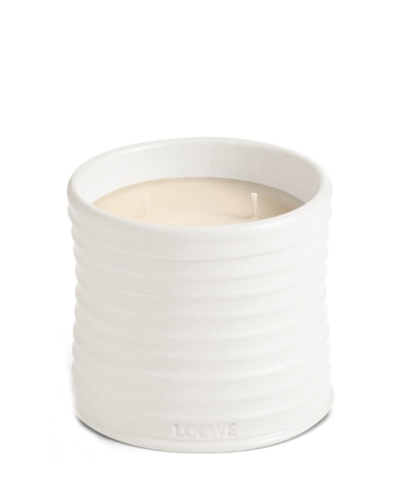Vela aromática Home Scents Oregano  M Loewe