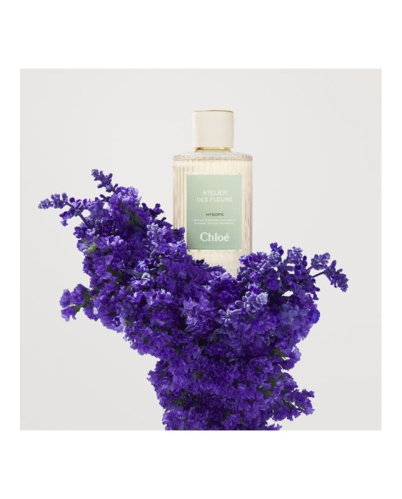 Chloé Atelier des Fleurs Immortelle 