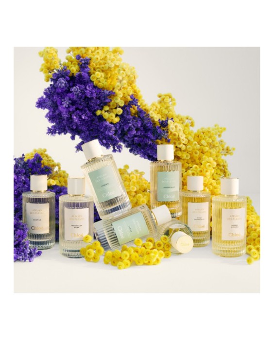 Chloé Atelier des Fleurs Immortelle 