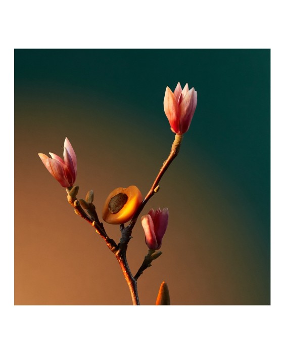 Penhaligon's Vra Vra Vroom 100мл парфюмерная вода