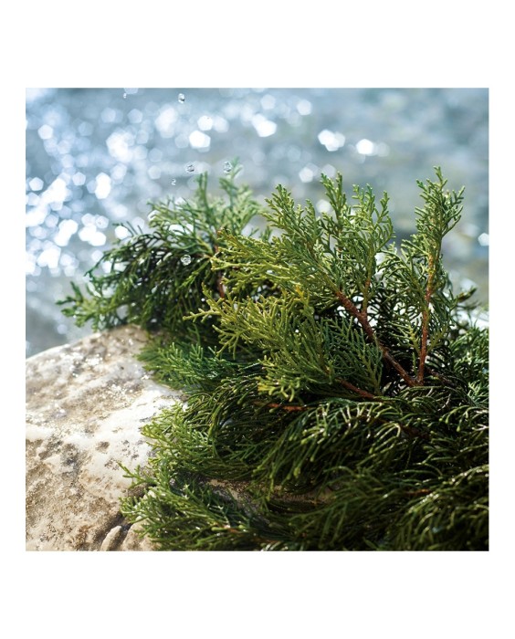 Eau de Toilette Light Blue Pour Homme Summer Vibes 125 ml Dolce & Gabbana