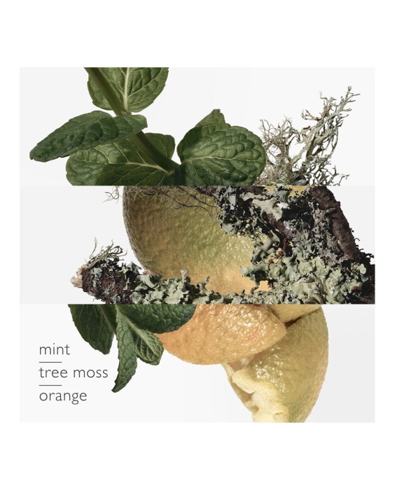 Hermès Concentré D'Orange Verte туалетная вода