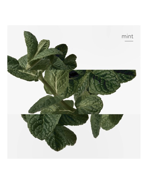 Hermès Concentré D'Orange Verte туалетная вода