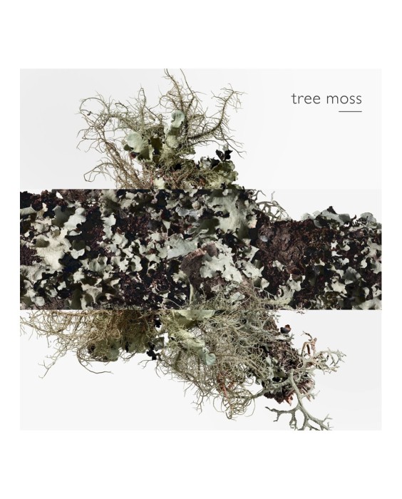 Hermès Concentré D'Orange Verte туалетная вода