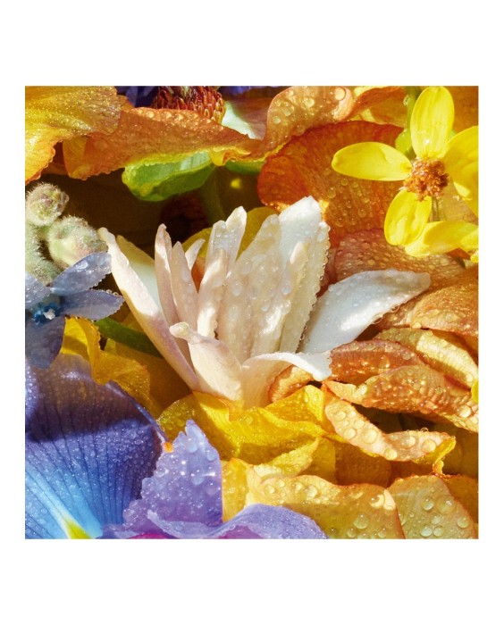 Eau de Toilette Aqua Allegoria Florabloom 125 ml Guerlain