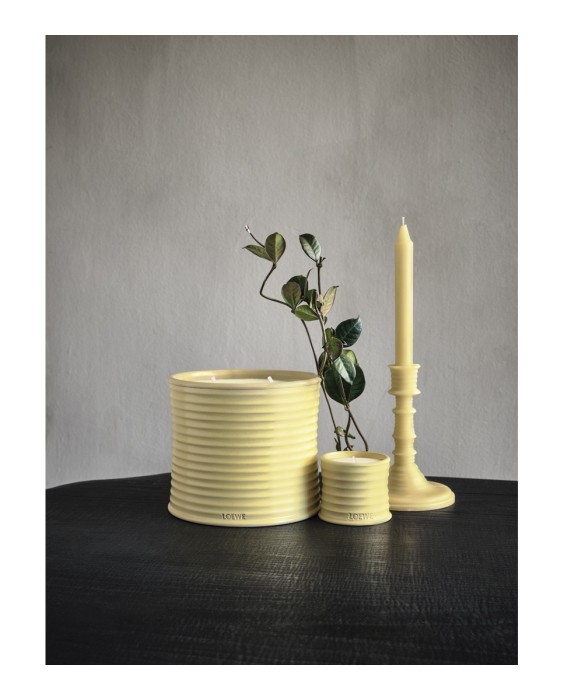 Vela aromática Home Scents Honey Suckle S Loewe