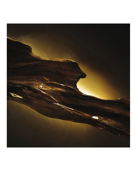 Eau de Parfum Boss Bottled Elixir 50 ml Boss