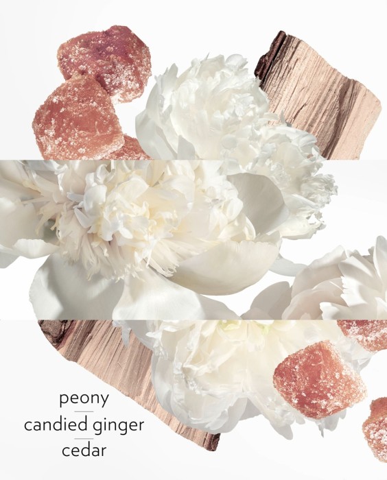 Hermès Twilly Eau Ginger парфюмерная вода