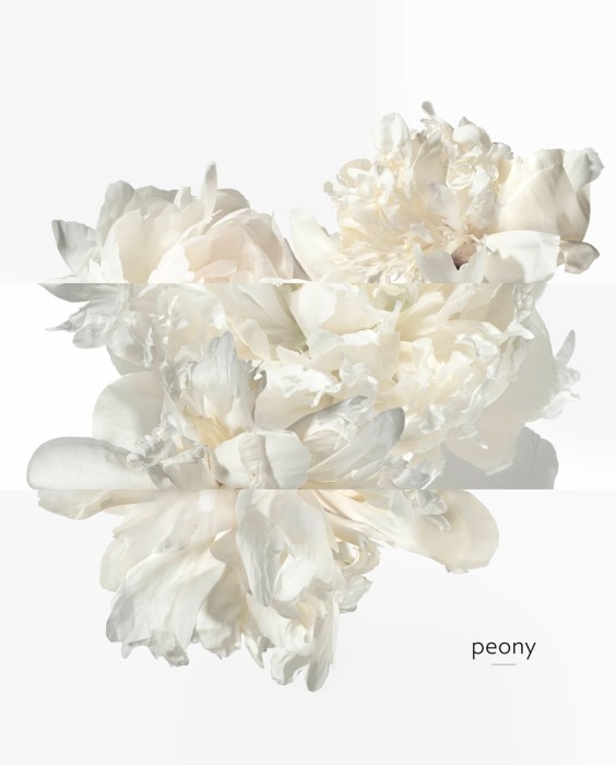 Hermès Twilly Eau Ginger парфюмерная вода