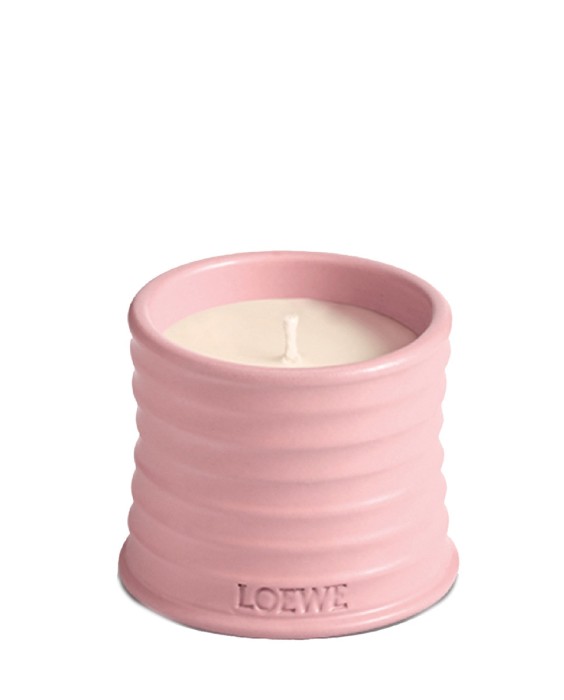 Vela aromática Home Scents Ivy S Loewe