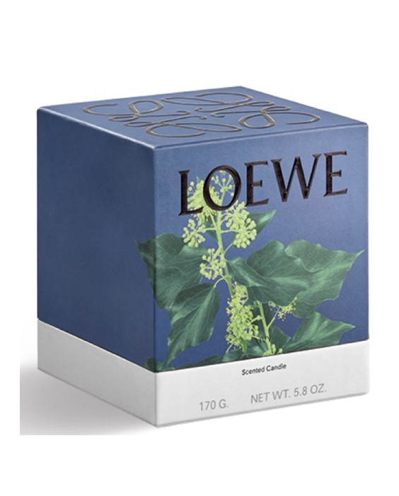 Vela aromática Home Scents Ivy S Loewe