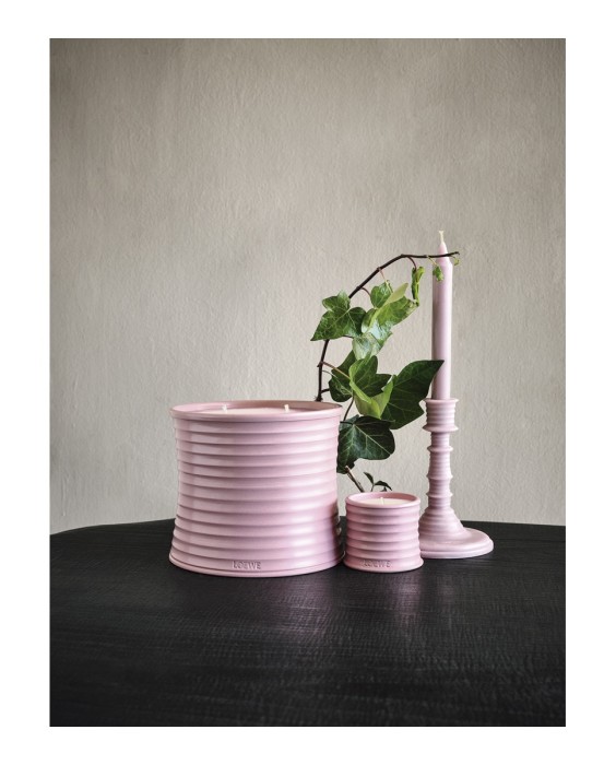 Vela aromática Home Scents Ivy S Loewe