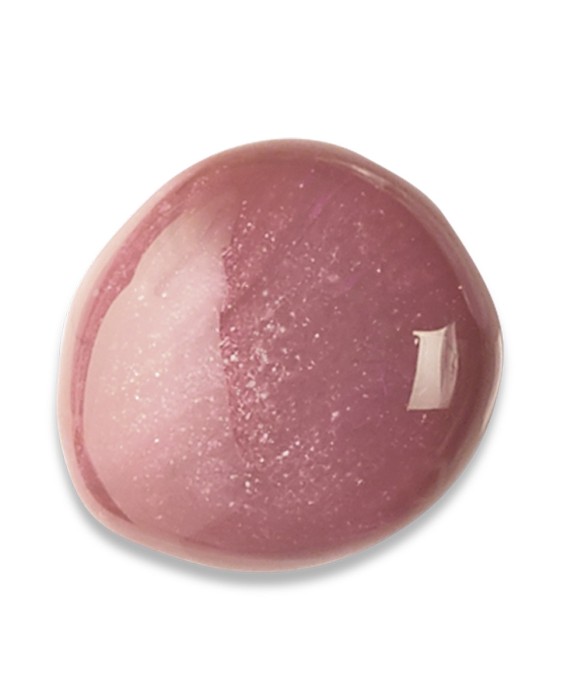 Brillo de labios Gloss Fabuleux Bourjois