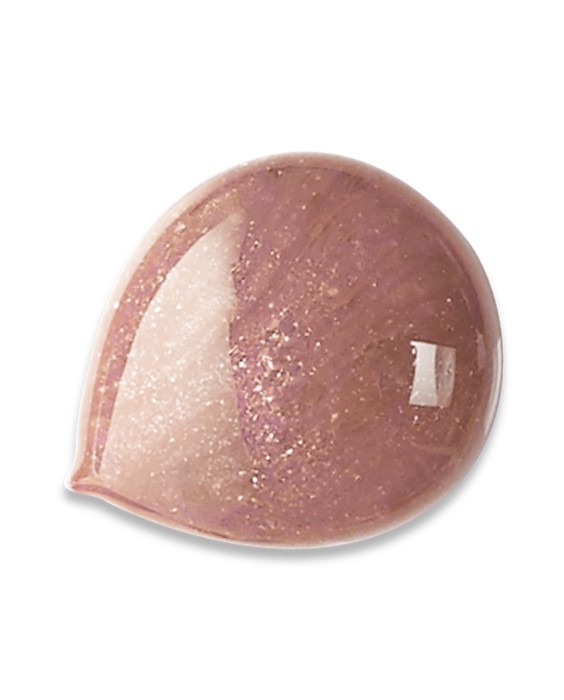 Brillo de labios Gloss Fabuleux Bourjois