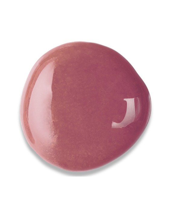 Brillo de labios Gloss Fabuleux Bourjois