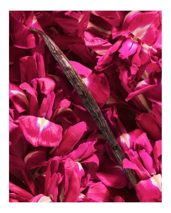 Eau de Parfum La Vie Est Belle Intensément 50 ml Lancôme