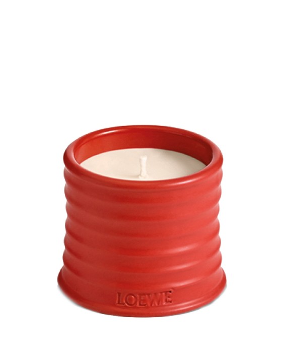 Vela aromática Home Scents Tomato Leaves S Loewe
