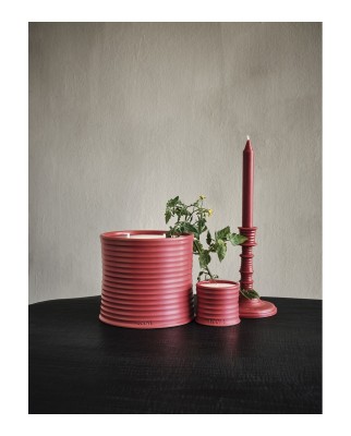 Vela aromática Home Scents Tomato Leaves S Loewe