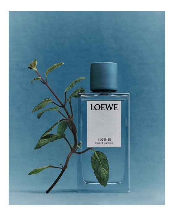 Home Fragance Incense Loewe