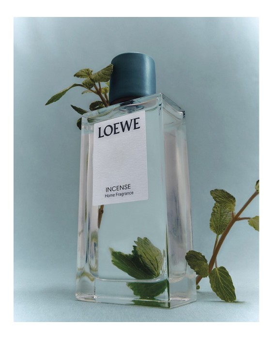 Home Fragance Incense Loewe